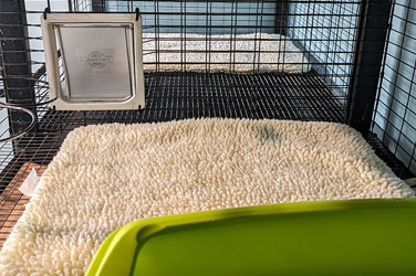 Golden Wood Kennel Cat Boarding