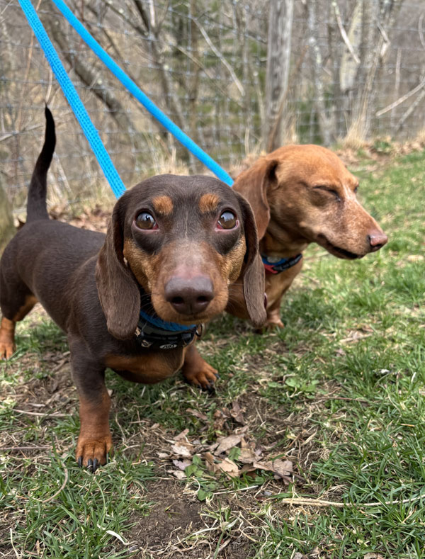 Autumn Adventure Package